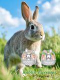 wholesale 925 Sterling Silver Easter Bunny Basket Stud Earrings - Cute Animal  for Women-0-5