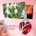 TOUPOP Sterling Silver Crystal Heart Cremation Urn Necklace With Filler-0-1