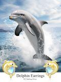 wholesale 925 Sterling Silver Dolphin Heart Moonstone 18k Gold Plated Stud Earrings-0-2