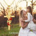 wholesale 14K Gold Cross with Red Birds and Knot Design Pendant Necklace for Women Gifts-0-1