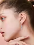 TOUPOP Silver Ladybug Stone Animal Earrings-0-1