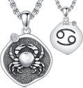 wholesale Sterling Silver Zodiac Constellation Necklace Astrology Pendant-0-10