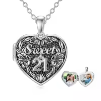 TOUPOP 18K Gold Plated Zircon Locket Necklace 21st Birthday Gift For Her-undefined