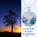 TOUPOP Sterling Silver Blue Crystal Moon Pendant Necklace-0-2