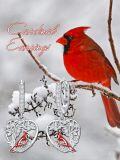 wholesale 925 Sterling Silver Hypoallergenic Red Bird Heart Drop Earrings-0-5