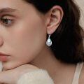 wholesale 925 Sterling Silver Dragonfly Moonstone Abalone Shell Teardrop Drop Earrings For Women-0-2