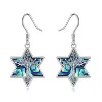 wholesale 925 Sterling Silver Tree of Life Abalone Shell Star Of David Dangle Earrings Wholesale Judaica Gifts for Women Girls 3cm Long-david star 2