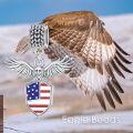 wholesale 925 Sterling Silver American Flag Eagle Shield Pendant Necklace USA  for Women Men-0-4
