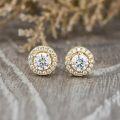wholesale Rose Gold Plated 925 Sterling Silver Round Cut Moissanite Halo Stud Earrings-0-1
