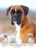wholesale 925 Sterling Silver Boxer Dog Stud Earrings for Women - Puppy  for Dog Moms & Pet Lovers-0-2