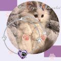 wholesale 925 Sterling Silver Purple Crystal Paw Print Heart Charm Bracelet Gift for Women-0-5