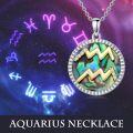wholesale 925 Sterling Silver Aquarius Zodiac Abalone Shell & Cubic Zirconia Pendant Necklace-0-5