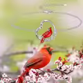 TOUPOP Sterling Silver Heart Red Bird Memorial Jewelry Gifts-0-2