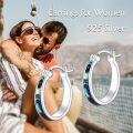 wholesale 925 Sterling Silver Abalone Shell Inlay Small Hoop Earrings for Women-0-4