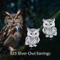 wholesale 925 Sterling Silver Owl Stud Earrings - Cute Bird  for Women-0-5