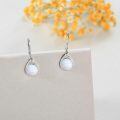 wholesale 925 Sterling Silver Dangle Earrings Wholesale With Black Onyx Stones Elegant Design-0-17