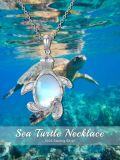 wholesale 925 Sterling Silver Turtle Moonstone Pendant Necklace Sea Life s for Her-0-5