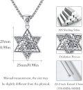 wholesale 925 Sterling Silver Lion Head Star of David Pendant Necklace for Men & Women Judaica Gifts-0-5