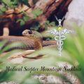 wholesale 925 Sterling Silver Caduceus Medical Symbol Pendant Necklaces for Women Men s-0-4
