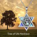 wholesale 925 Sterling Silver Abalone Shell Tree of Life Star of David Necklace Jewish s for Women Men-0-5