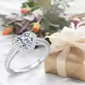 TOUPOP Sterling Silver Moissanite Heart Halo Engagement Ring-0-5