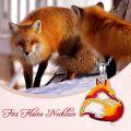 wholesale 925 Sterling Silver Fire Fox Head Pendant Necklace for Women-0-4