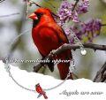wholesale 925 Sterling Silver Red Cardinal Bird Charm Bracelet with Leaf Design and Adjustable Chain - Perfect Gift for Women & Moms (Autism Awareness)-0-4