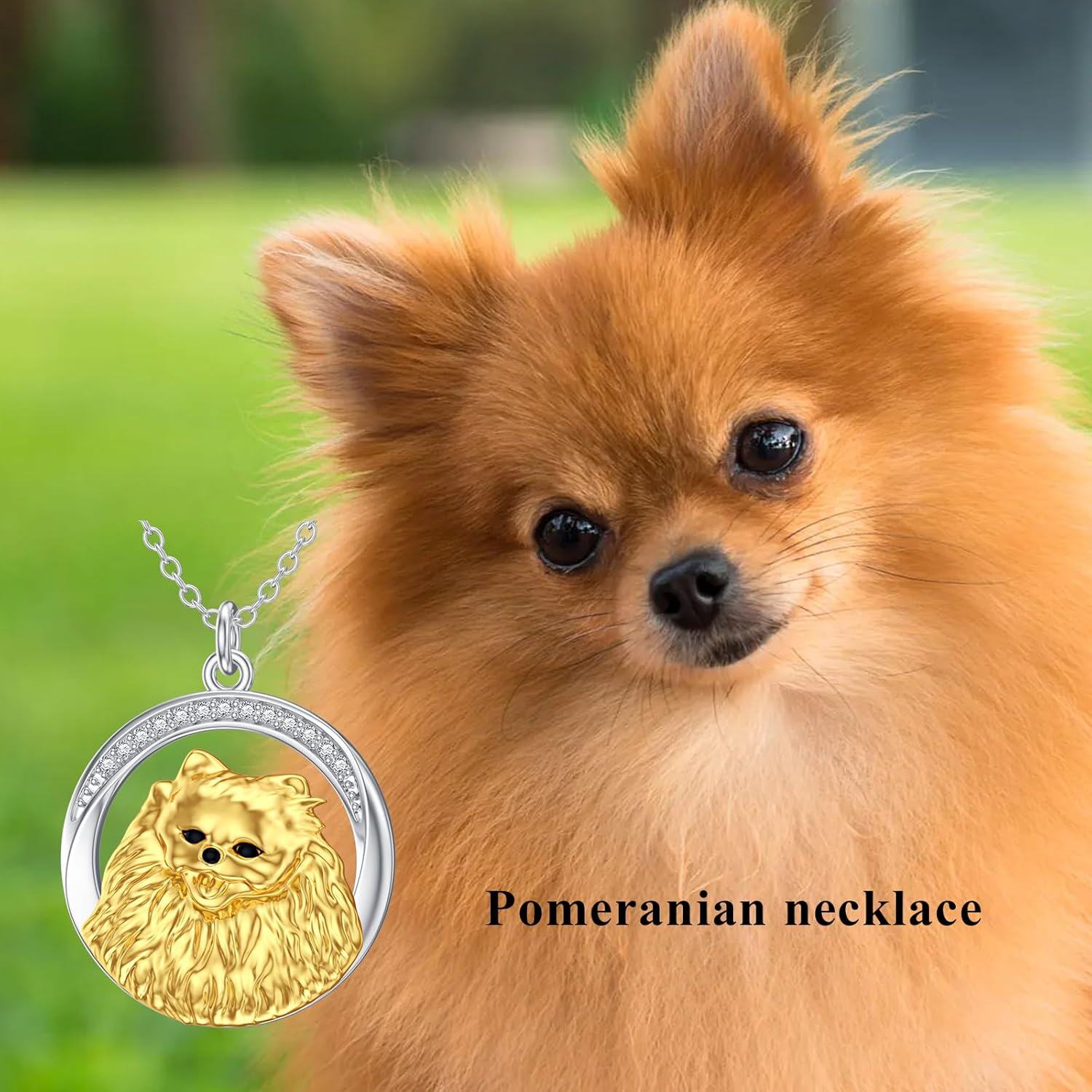 925 Sterling Silver Labrador Retriever Head with Cubic Zirconia Circle Pendant Necklace D VVS-0-1