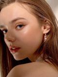 wholesale 925 Sterling Silver Flamingo Drop Earrings Wholesale With Pink Crystal Details-0-2