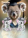 wholesale 925 Sterling Silver Koala Bear Graduation Stud Earrings Gift for Her-0-5