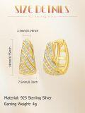 wholesale Gold-plated 925 Sterling Silver Cubic Zirconia Hoop Earrings for Women-0-2