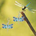 wholesale 925 Sterling Silver Dragonfly Dangle Earrings for Women Cute Animal s-0-5