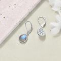 wholesale 925 Sterling Silver Labradorite Teardrop Earrings for Women-0-2