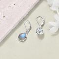 wholesale 925 Sterling Silver Labradorite Teardrop Earrings for Women-0-2