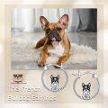 wholesale 925 Sterling Silver French Bulldog Dog Charm Hoop Earrings Gift for Women Girls-0-5