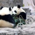 TOUPOP Sterling Silver Panda Dangle Drop Hook Earrings For Women Gift-0-1