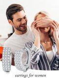 wholesale 925 Sterling Silver Cubic Zirconia Pave Huggie Hoop Earrings for Women Gift Ideas-0-3