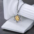 wholesale 925 Sterling Silver Lion Head in Star of David Pendant Necklace  for Men & Women-0-4