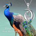 wholesale 925 Sterling Silver Moon Crystal Peacock Memorial Keepsake Necklace for Ashes-0-4