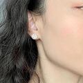 wholesale 925 Sterling Silver Zircon Stud Earrings-0-4