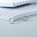 wholesale 925 Sterling Silver Rose Flower Leaf Branch Stud Earrings Rose Gold Platinum Plated-0-4
