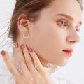 wholesale 925 Sterling Silver Rose Gold Plated Dachshund Dog Red Crystal Hoop Earrings-0-3