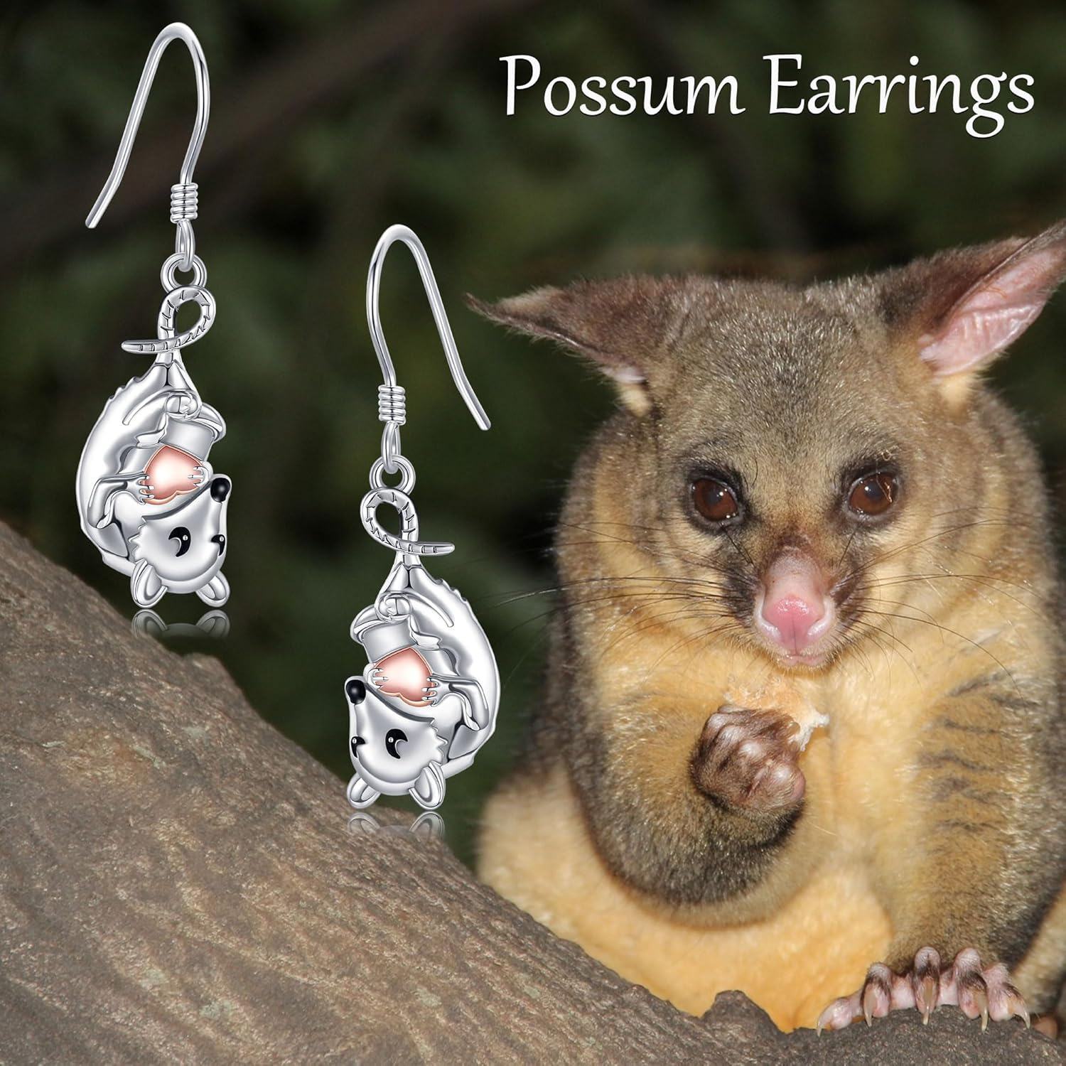 Sterling Silver Stone Possum Heart Earrings Women s Jewelry-0-6