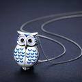 wholesale 925 Sterling Silver & White Gold Plated Owl Locket Necklace with Picture Holder, 3/4 Pendant, 18+2 Chain, Gift Ready-0-1