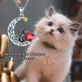 wholesale 925 Sterling Silver 12 Birthstones Black Cat Necklace for Women-0-5