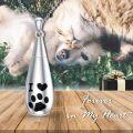 wholesale 925 Sterling Silver Teardrop Pet Paw Print Keepsake Memorial Urn Necklace with Chain and Fill Kit-0-3