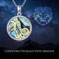 wholesale 925 Sterling Silver Abalone Shell Natural Cubic Zirconia Scorpio Zodiac Necklace 12 Constellation Coin Pendant-0-5