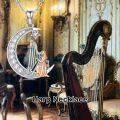 wholesale 925 Sterling Silver Crescent Moon & Star with Harp Pendant Necklace Musical Instrument  for Women-0-4