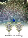 TOUPOP Sterling Silver Stone Colorful Peacock Feather Dangle Earrings-0-5
