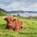 wholesale 925 Sterling Silver Highland Cow Charm Anklet with Beads and Clasp-0-3
